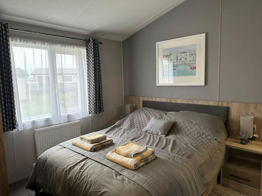 Modern Lodge With Amazing Views نيوكويي المظهر الخارجي الصورة